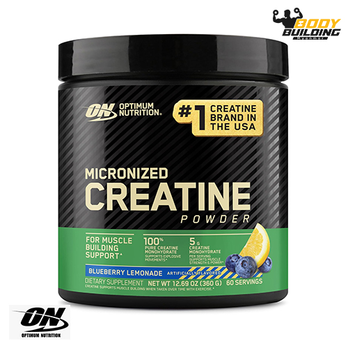 ON - FLAVOURED CREATINE (60 SERVING)